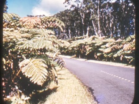 Hawaiian National Park - Isle of Hawaii - View-Master Gold Center Reel - vintage - #71 Hot on Sale