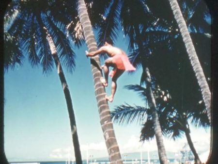 Island of Oahu - Hawaii - View-Master Gold Center Reel - vintage - #64 Online now