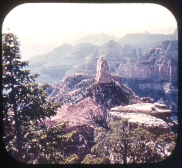 Grand Canyon - North Rim - View-Master Gold Center Reel - vintage - #36 Hot on Sale