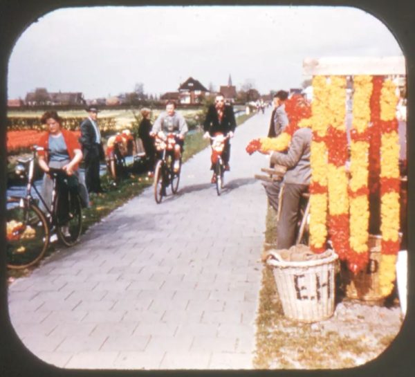 Tulip Time II, Holland - View-Master Single Reel - #1920B - vintage Sale