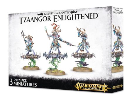 Games Workshop - Tzaangor Enlightened Supply